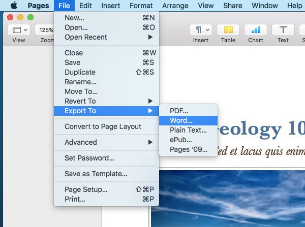 microsoft word equivalent for mac